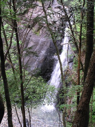 大島の滝